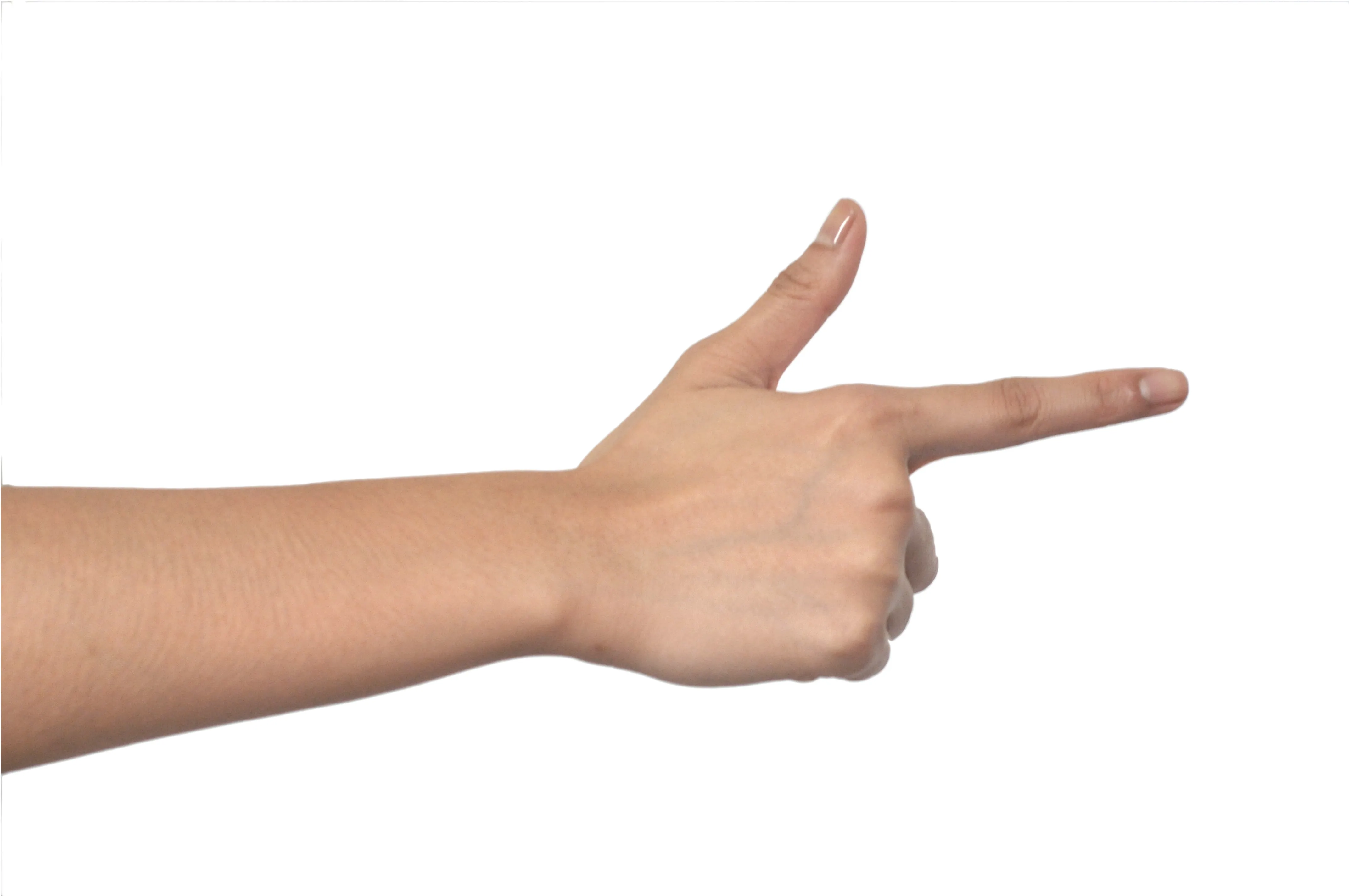 手の中で一番長い指は？