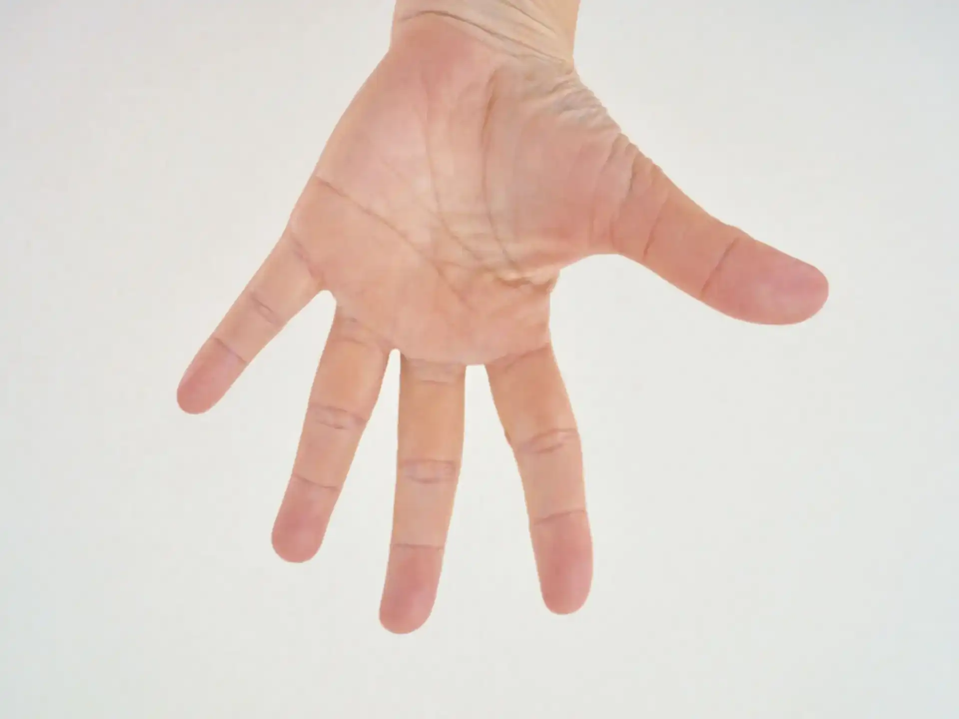 やなすいクイズ６